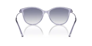 Emporio Armani Sunglasses EA4220