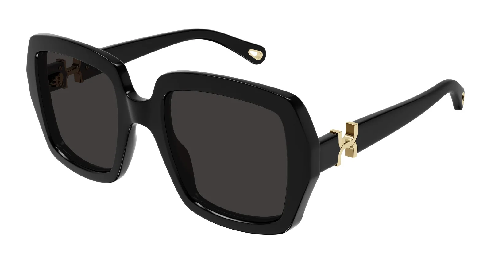 Chloe Sunglasses CH0301S