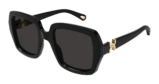 Chloe Sunglasses CH0301S