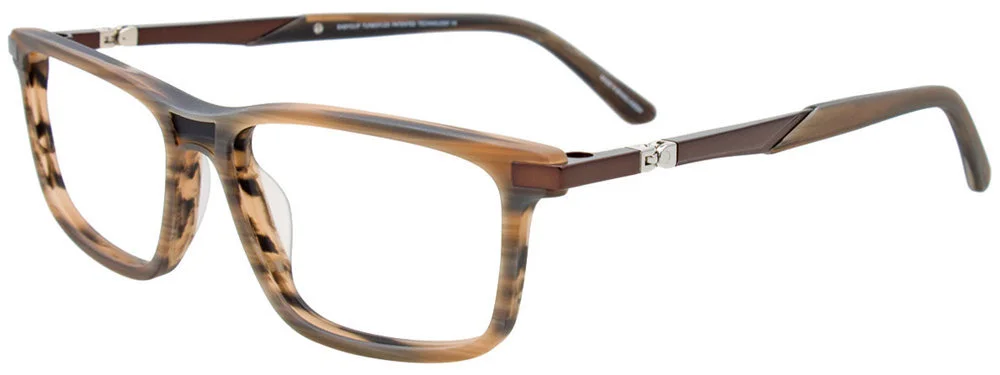Easyclip Eyeglasses EC648