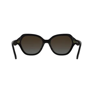 Longchamp Sunglasses LO801S
