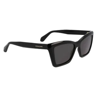 Salvatore Ferragamo Sunglasses SF2039SE