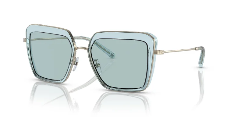 Tory Burch Sunglasses TY6099