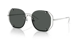 301587 Shiny Silver