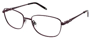 Aubergine