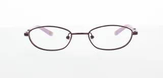 Polo Eyeglasses PP8015