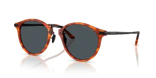 6404R5 Brown Turtle