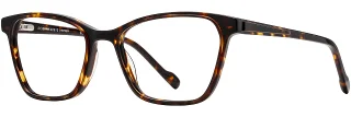 C03 Tortoise