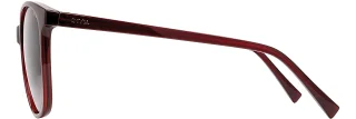 INVU Sunglasses INVU- 263