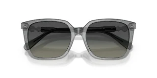 Swarovski Sunglasses SK6053D