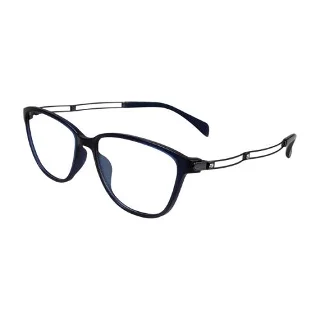 Line Art Eyeglasses XL 2095