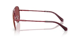 Michael Kors Sunglasses MK1172