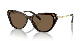 500373 Dark Havana