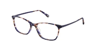 S407-K-815 Indigo Tortoise