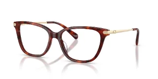 5938 Walnut Tortoise