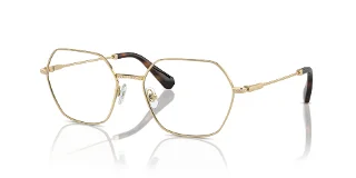 Swarovski Eyeglasses SK1011