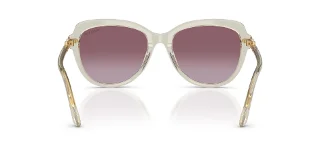 Swarovski Sunglasses SK6073