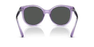 Armani Exchange Sunglasses AX4120S
