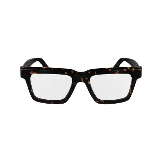 Salvatore Ferragamo Eyeglasses SF2995
