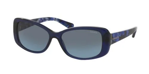 Coach Sunglasses HC8168 L156