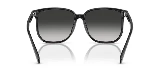 Coach Sunglasses HC8413BD
