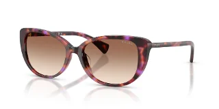 623913 Shiny Violet Havana