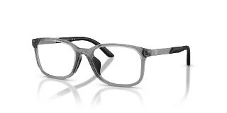 6491 Shiny Transparent Grey