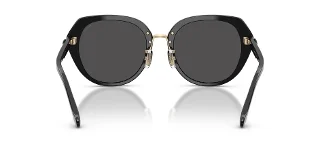 Coach Sunglasses HC8436
