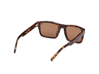 Timberland Sunglasses TB00042