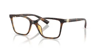 8213 Shiny Havana