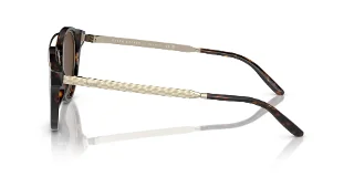Ralph Lauren Sunglasses RL8210
