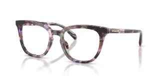 5843 Amethyst Pearl Tortoise