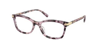 5777 Iris Tortoise