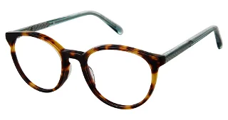 C01 Tortoise