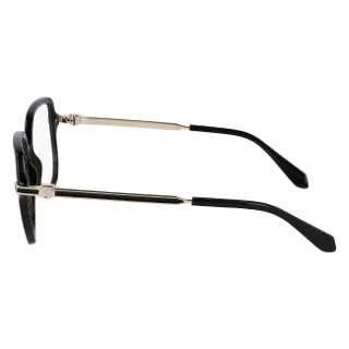 Salvatore Ferragamo Eyeglasses SF3012