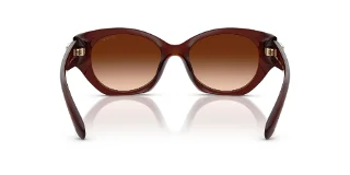 Coach Sunglasses HC8407U