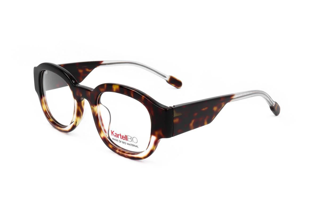 Kartell Eyeglasses KL502V