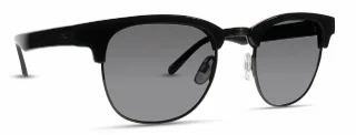 INVU Sunglasses INVU-130
