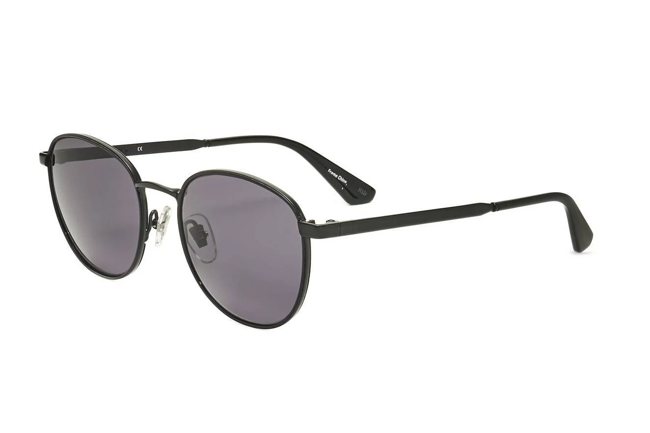 Sandro Sunglasses SDS4005