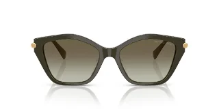Michael Kors Sunglasses MK2246U