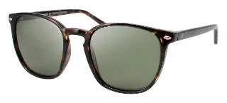 Tortoise