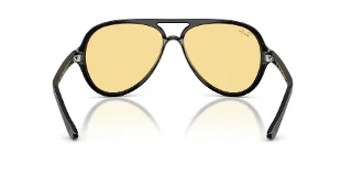 Ray Ban Sunglasses RB4125