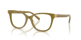 2010 Olive Green