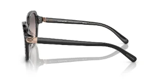 Coach Sunglasses HC8349U