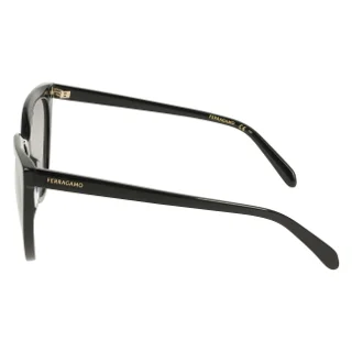 Salvatore Ferragamo Sunglasses SF2101S
