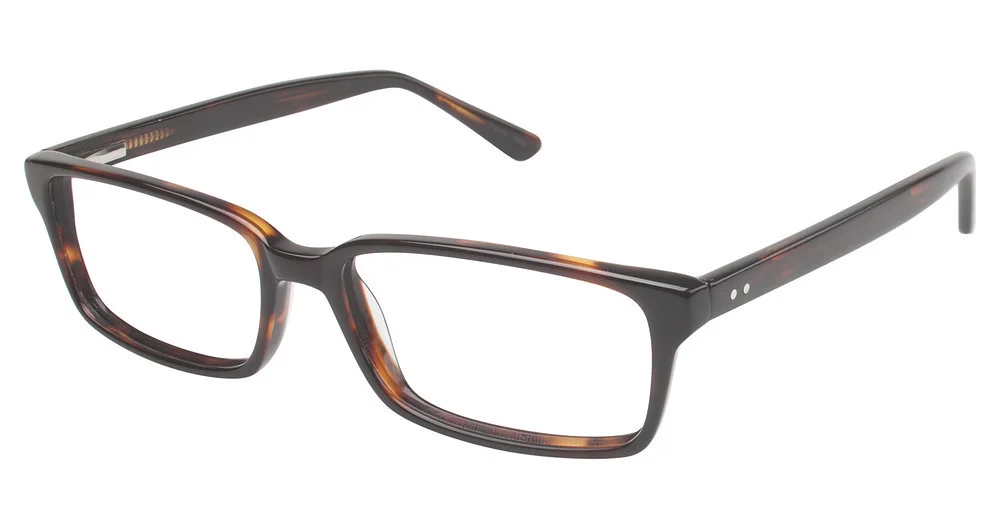 Vision's Eyeglasses 202