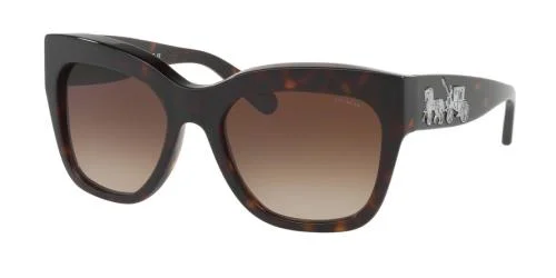 Coach Sunglasses HC8213