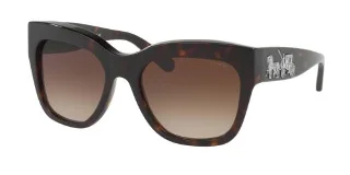 Coach Sunglasses HC8213