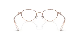 Swarovski Eyeglasses SK1028TD