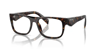 19J1O1 Tortoise